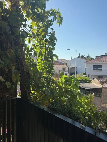 Standard Double room with city view