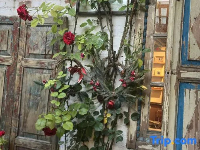 Yining Fengqiao Homestay