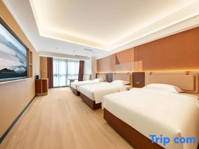 Deluxe Triple room