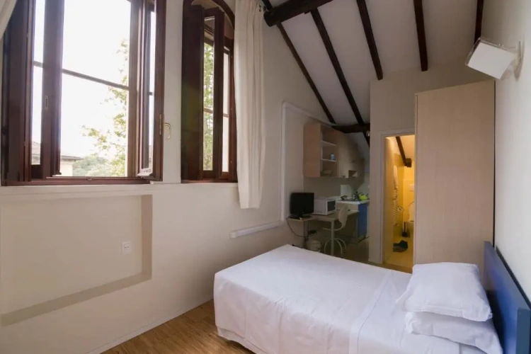Standard Single room with garden view