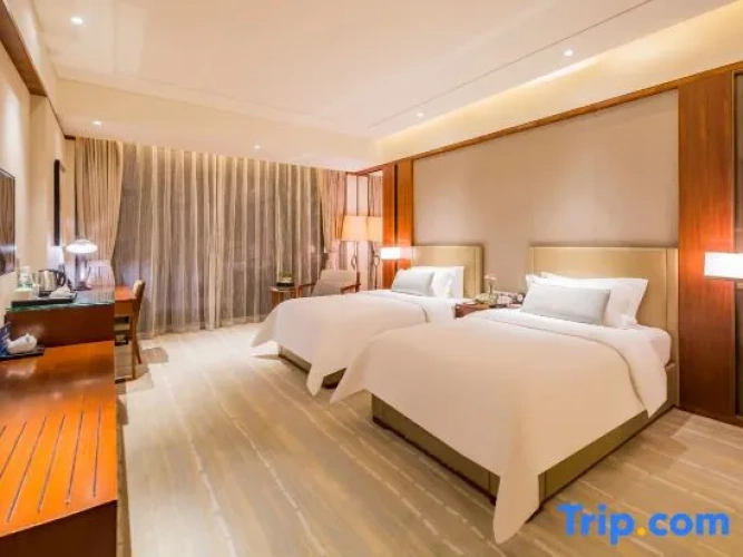Superior Double room with city view