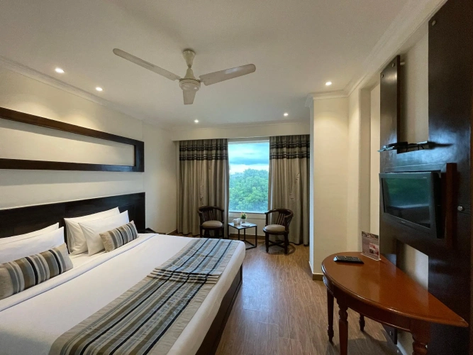 Deluxe Double room with view