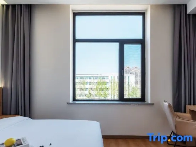 Comfort Suite