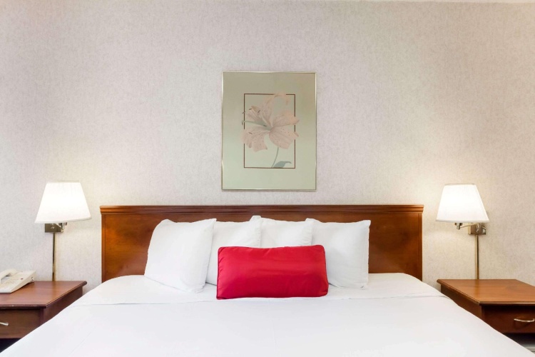Standard room