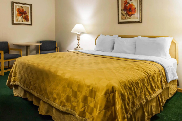 Bellis Inn