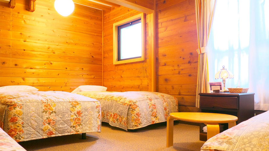 Standard Single room with mountain view
