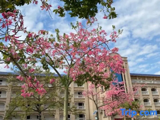 Liuxi Riverside Hotel