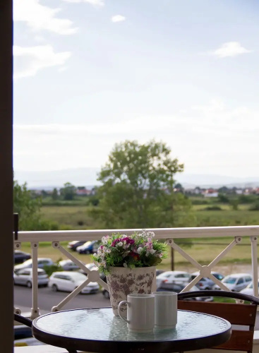 Hotel Rodon
