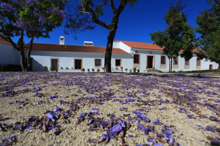 Quinta da Lapa