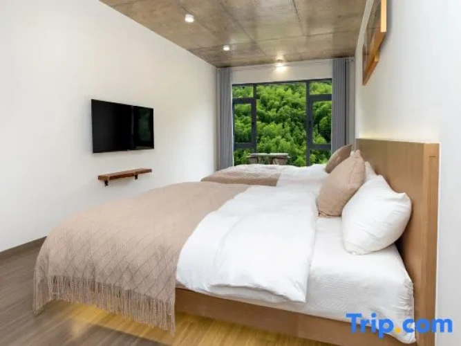 Standard Twin Family room