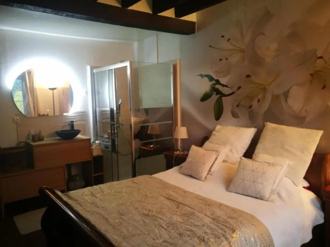 Standard Double room with garden view