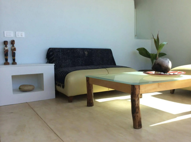 Agave del Mar