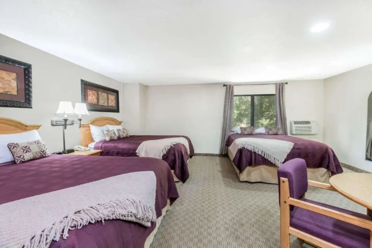Double Suite