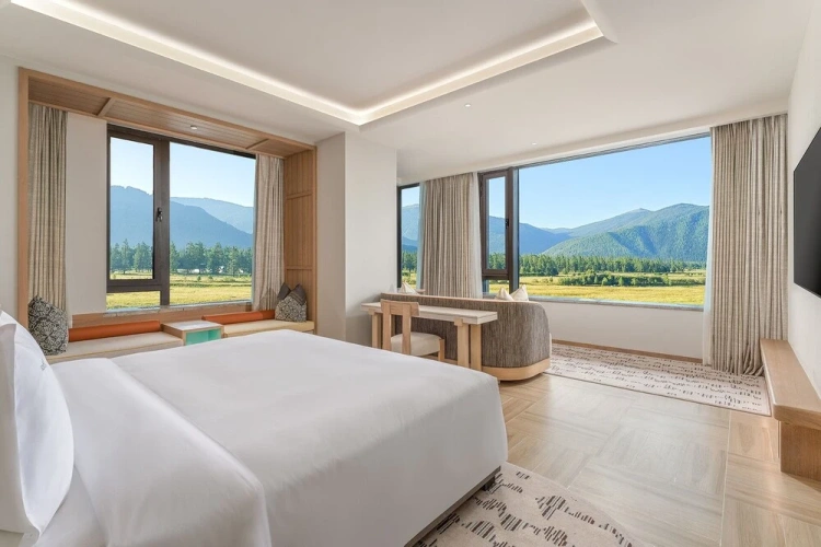 1 Bedroom Suite