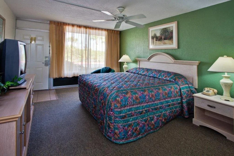 Magic Tree Resort