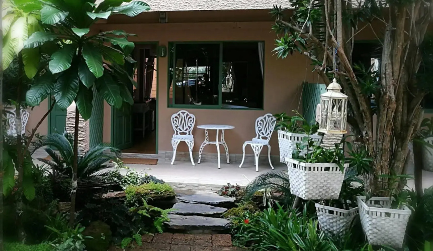 Tree Touch Pattaya