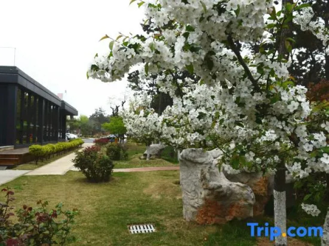 Seaview Garden Hotel