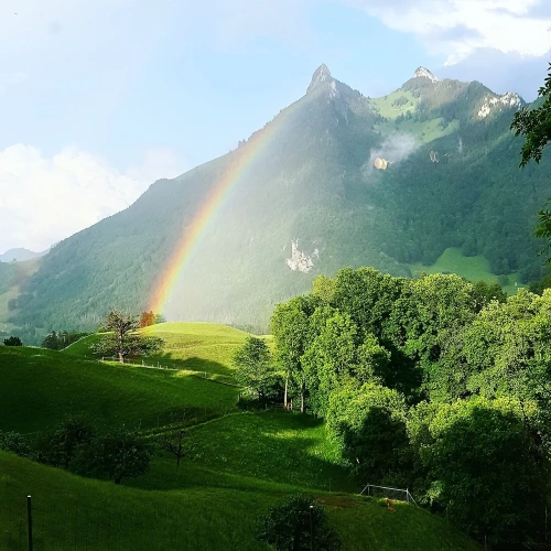 Superior Double room with balcony and with mountain view