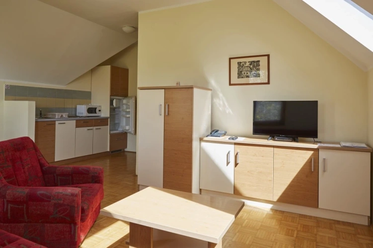 1 Bedroom Apartment