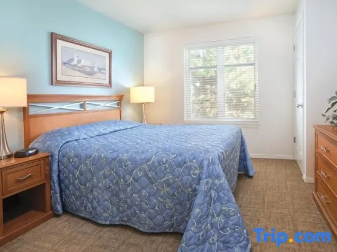 1 Bedroom Double Suite