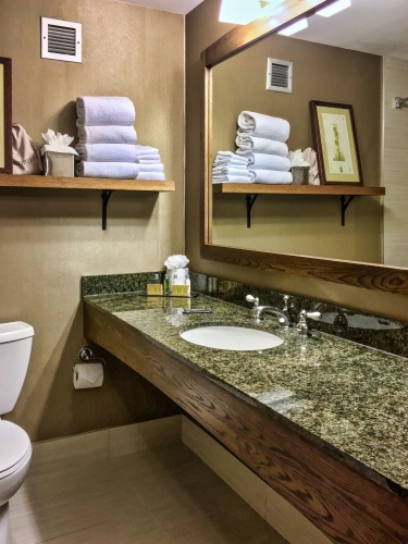 DoubleTree by Hilton Hotel Libertyville - Mundelein photo 9