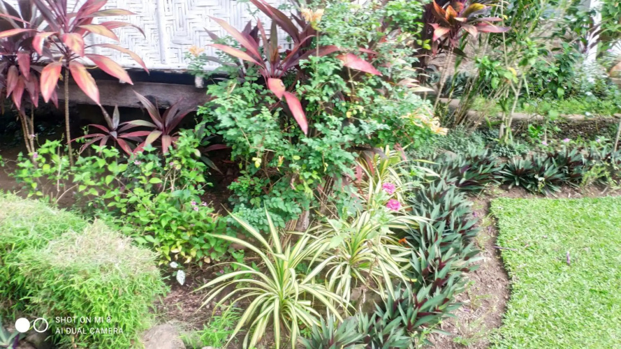 Sun House Rental