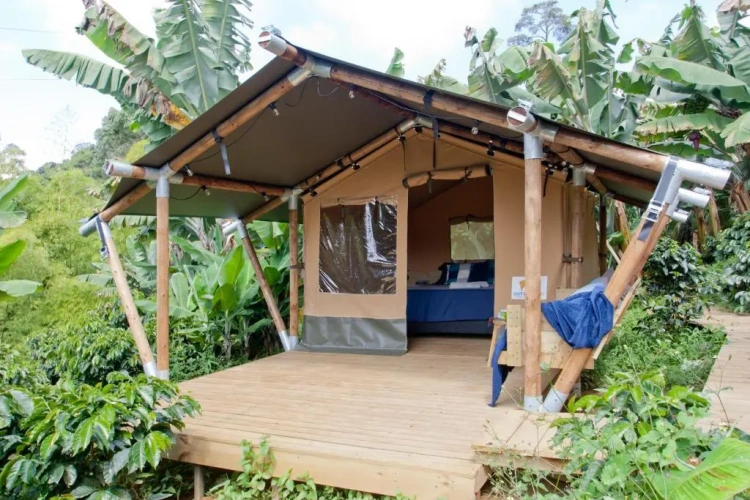 Tent