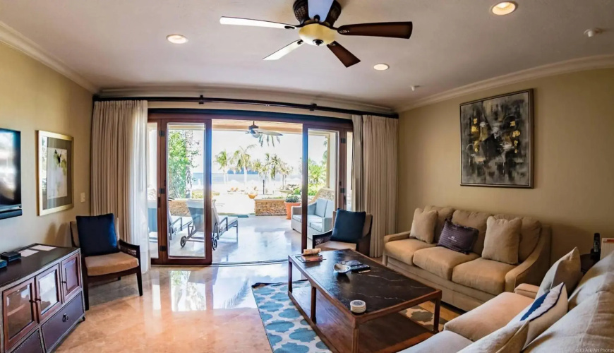 Palms 5