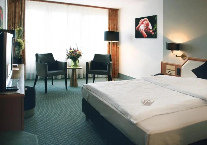 Comfort Single room