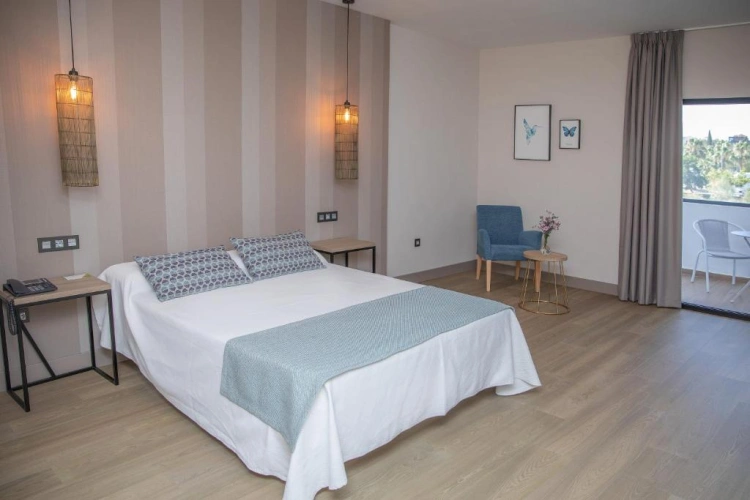 Standard Double room with balcony and with view