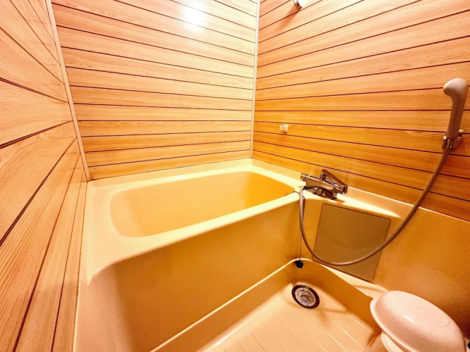 Economy Hotel Upashi