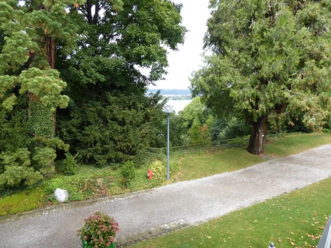 Standard Double room with lake view