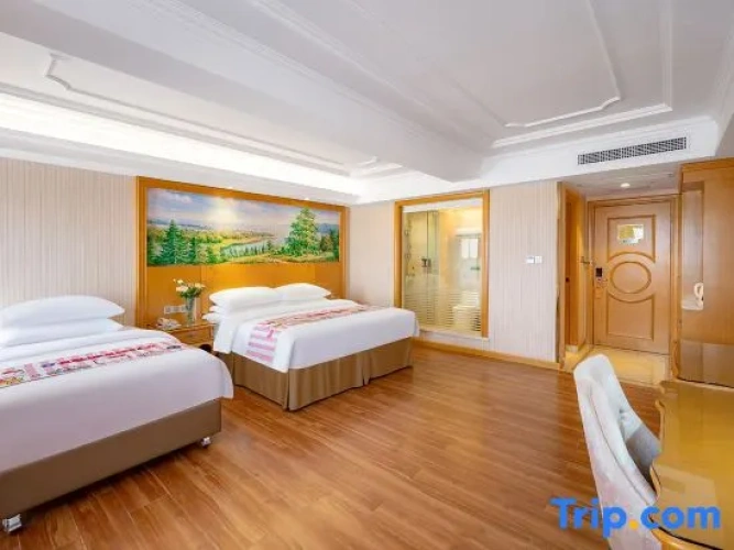 Deluxe Twin Family room