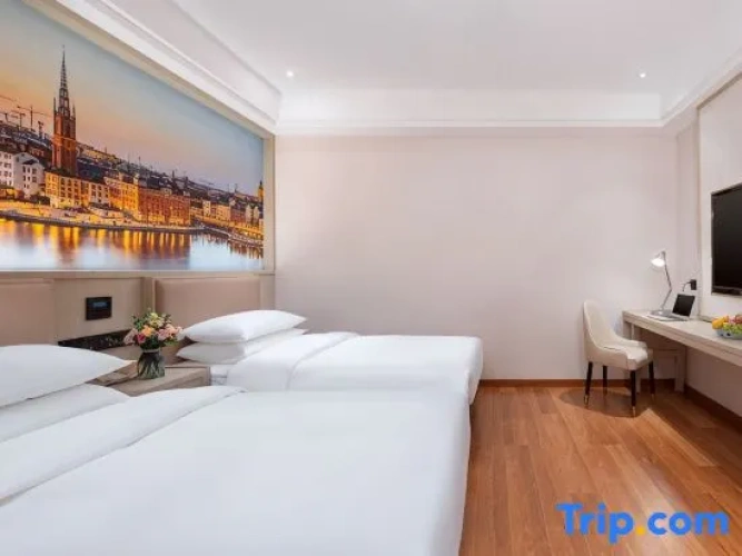 Standard Double room with city view