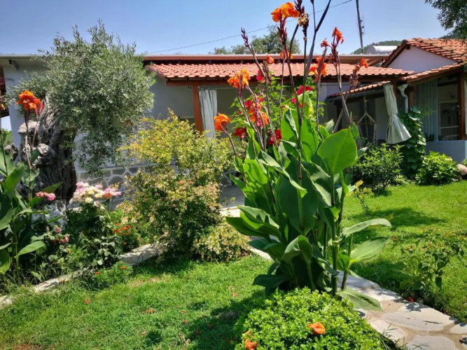 Cristi Apartments