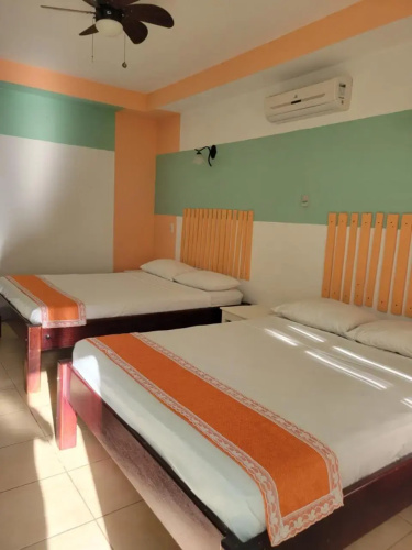 Hotel Museo El Ceibo