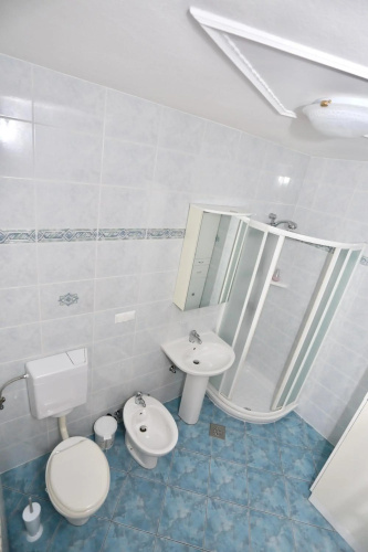Apartments Krivec