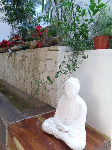 Ocean Zen Suites on 5th Avenue - Adults Only