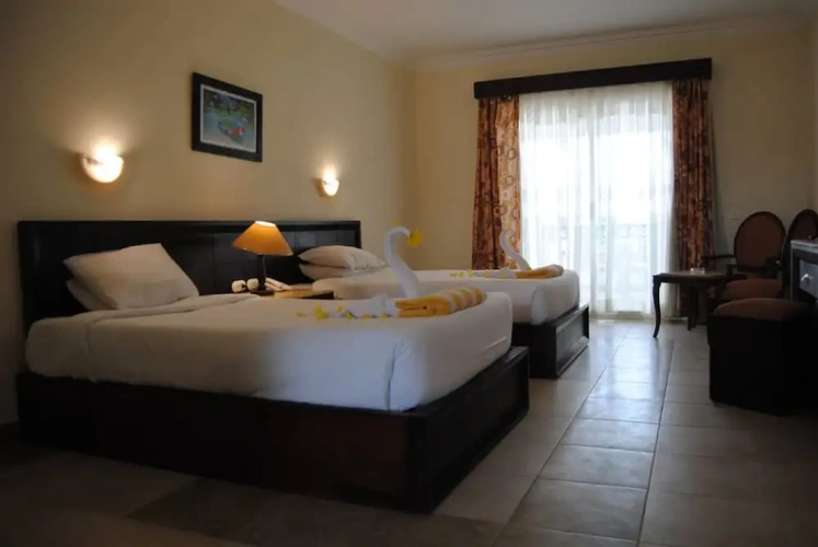 Standard Double room with balcony and with view