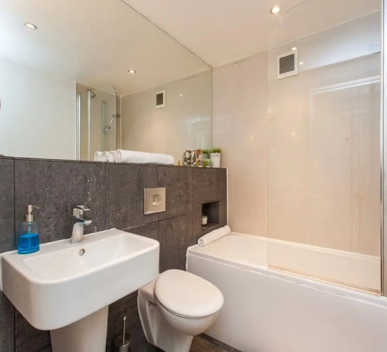 1 Bedroom Premium Apartment with city view
