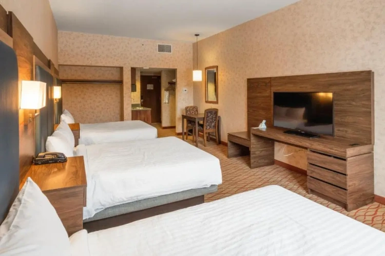 Standard Double room with mountain view