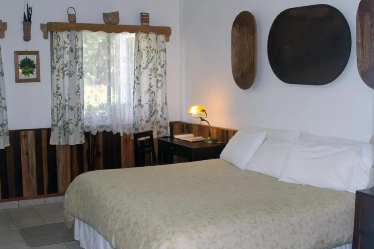 Standard Double room with view