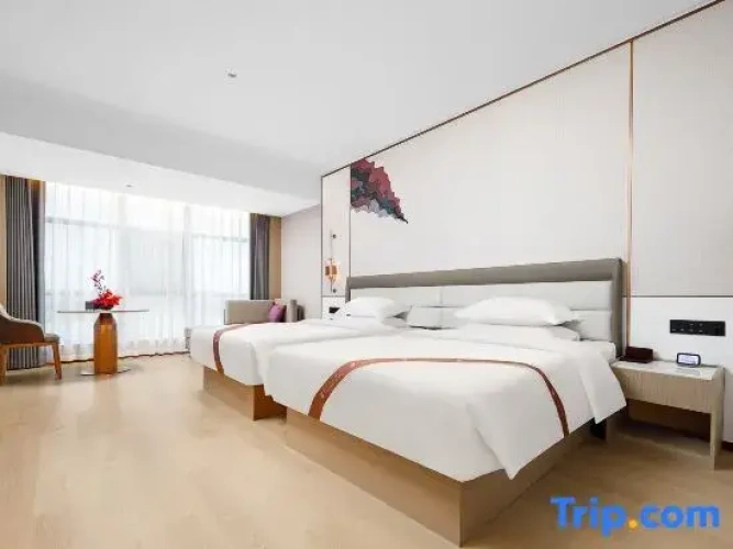 Standard Twin room with city view