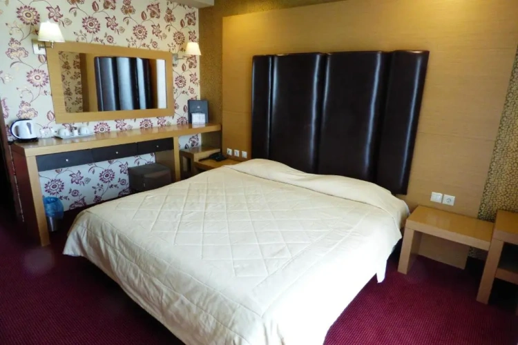 Standard Double room with balcony and with view