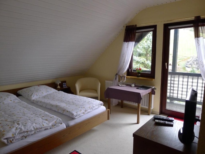 Economy Double room with balcony and with view
