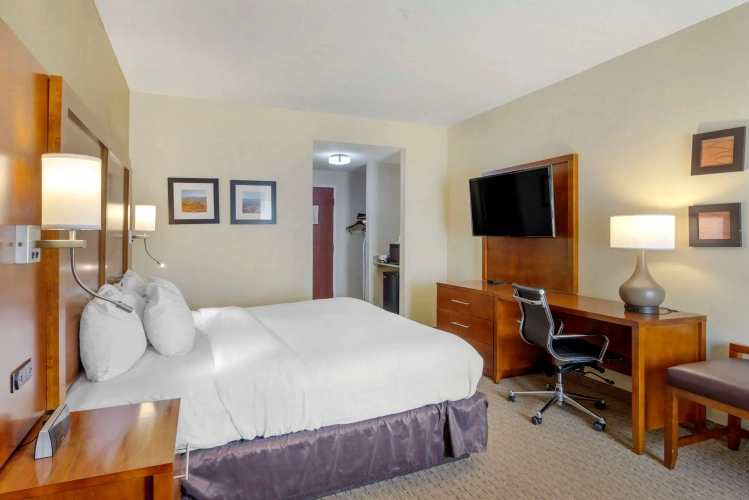 Standard Double room