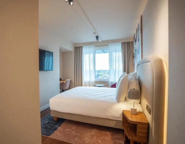 Superior Double room with city view