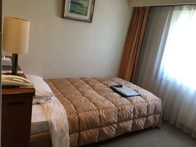 Standard Single room with city view