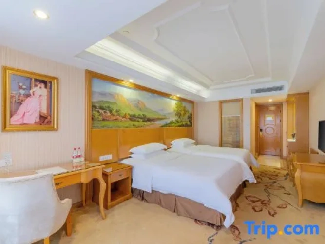 Superior Twin Suite