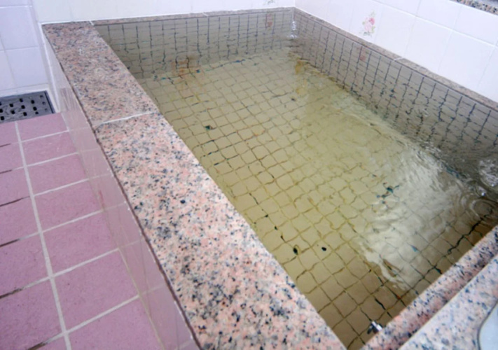 Ryokan Ginrinso Kotobuki